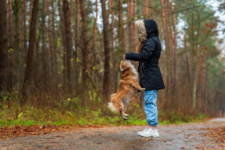 How to Socialize a Puppy