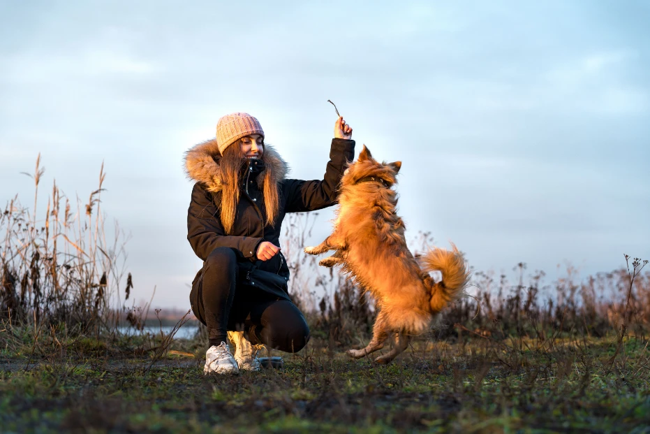 How to Socialize a Puppy