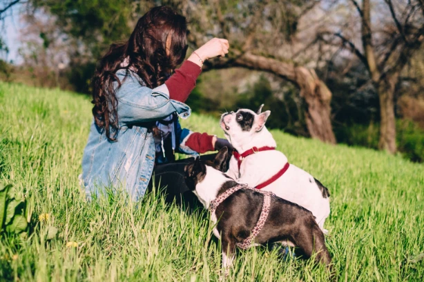 Food Aggression in Dogs