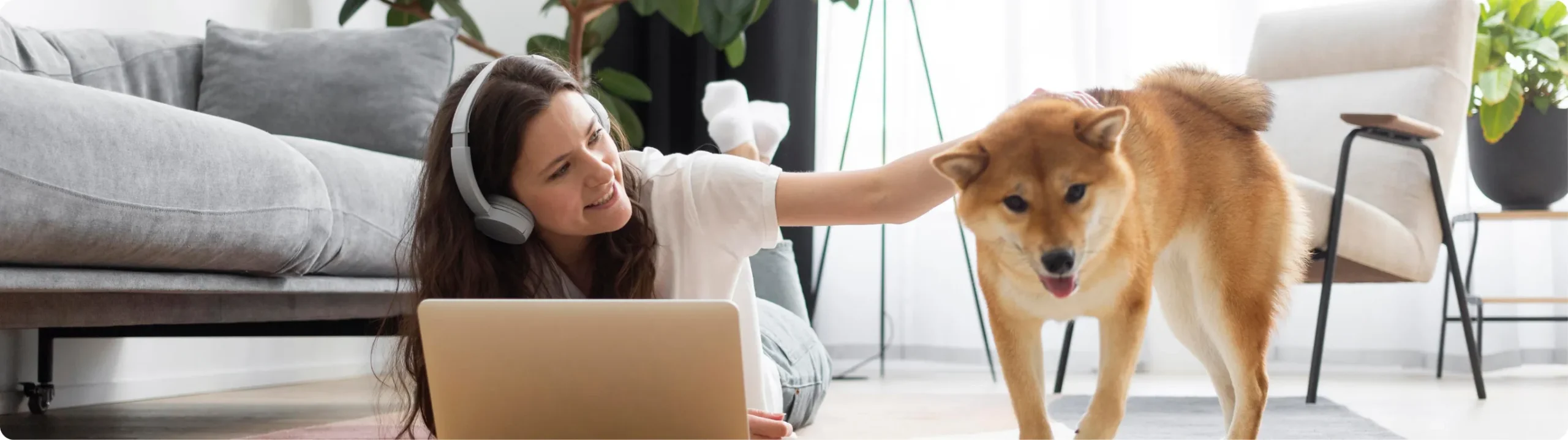 Dog owners training their dogs at home with K9 Harmony