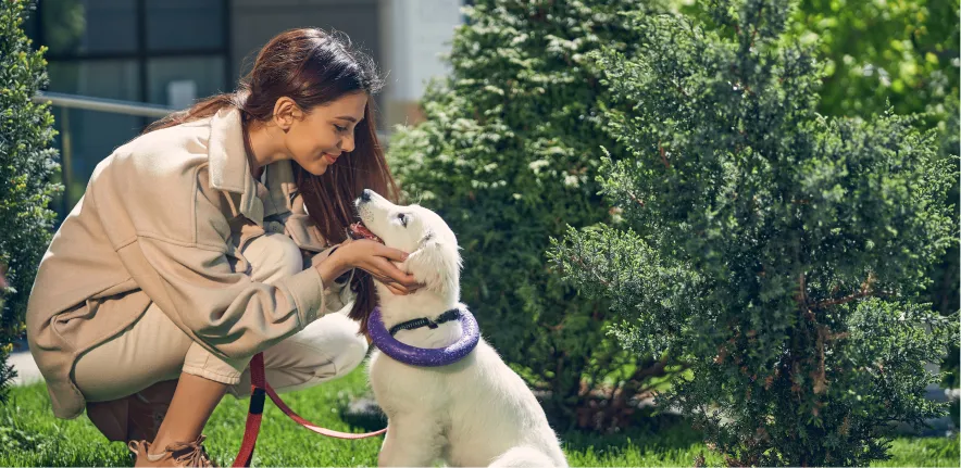 Puppy training session at home