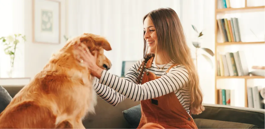 In-home dog training session