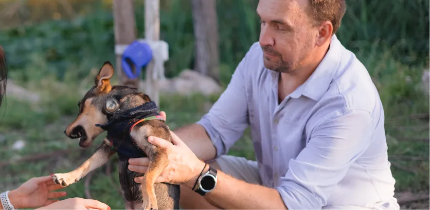 E-collar training for off-leash reliability