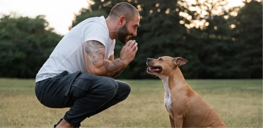 Dog relaxing alone at home after separation anxiety training
