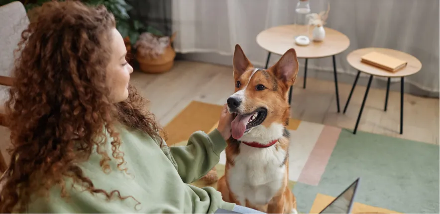 Owner in a virtual dog training session