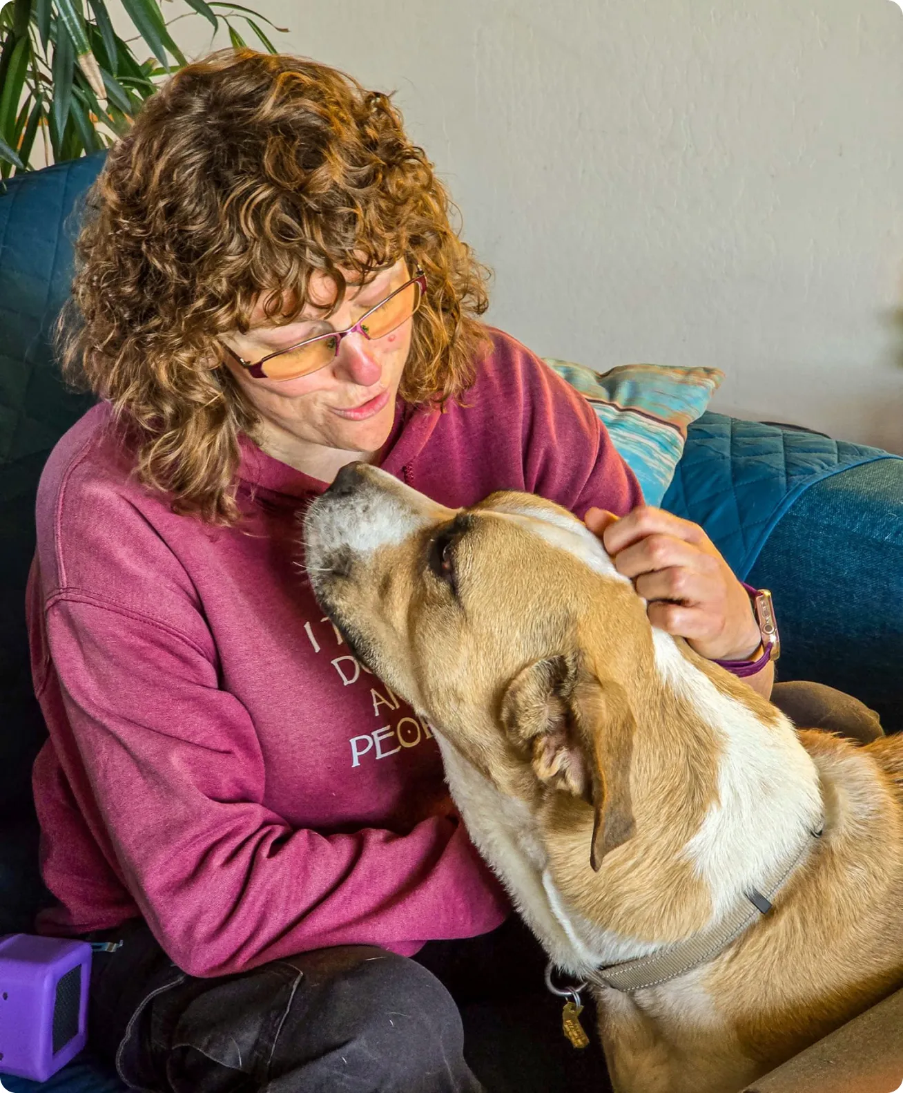 Brittany training a dog at home